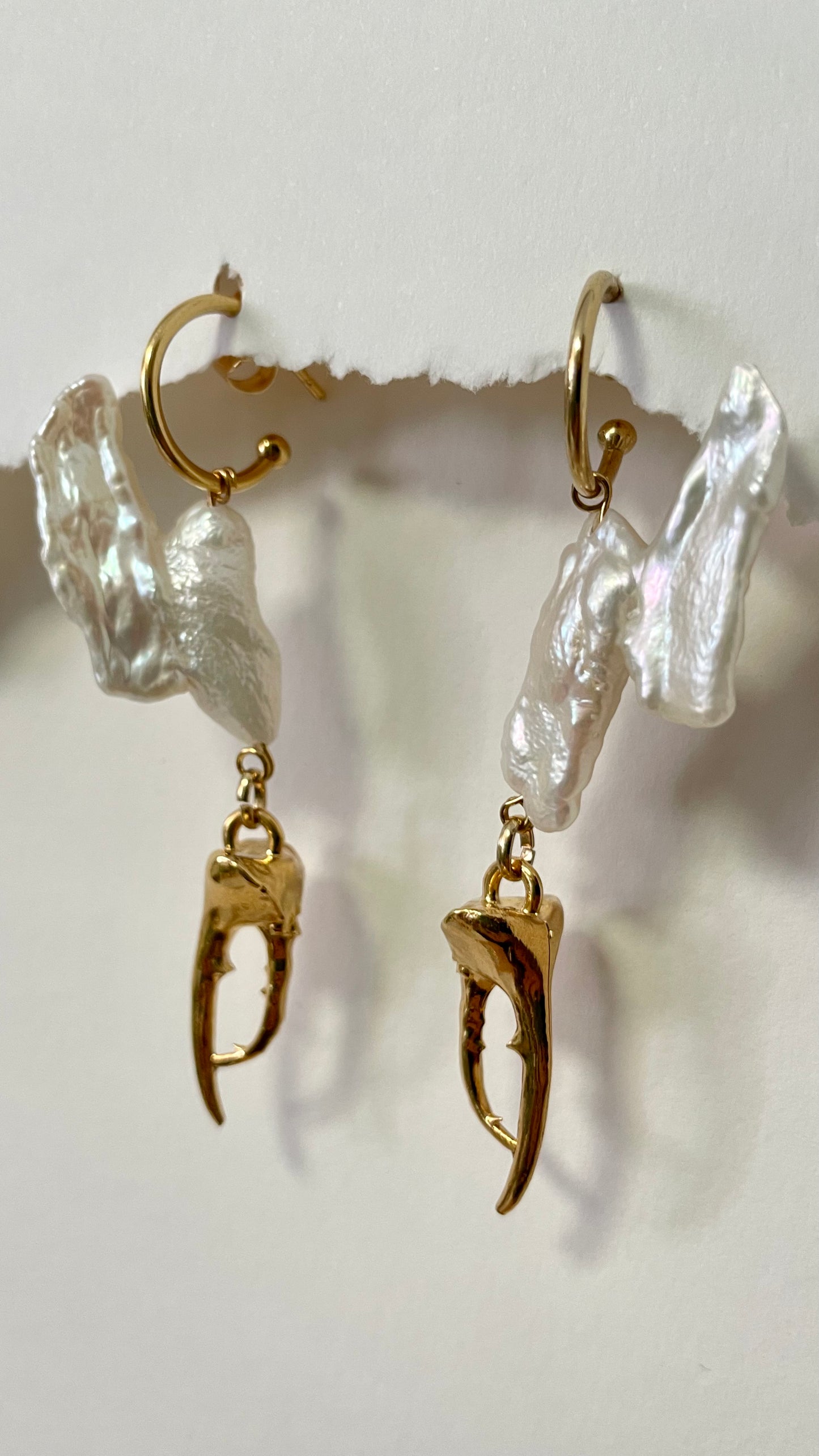 Coleoptera earrings